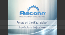 iPad 01: Jobs Overview